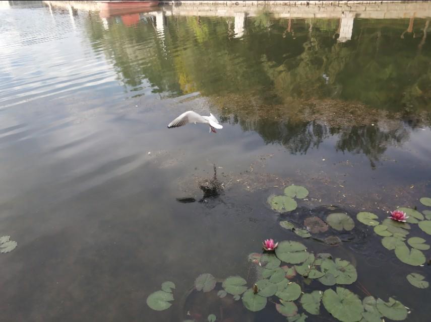 乌鲁木齐至西安，飞翔之旅的点滴回忆