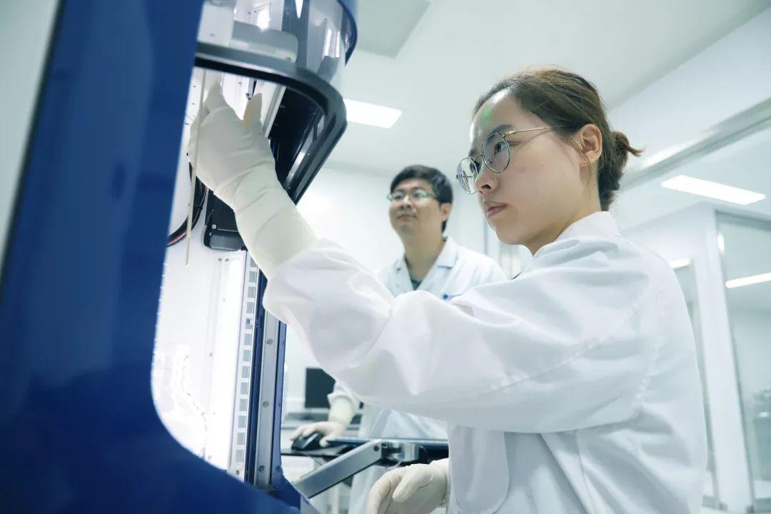 药品商标图案，品牌标识与市场竞争力的重要一环