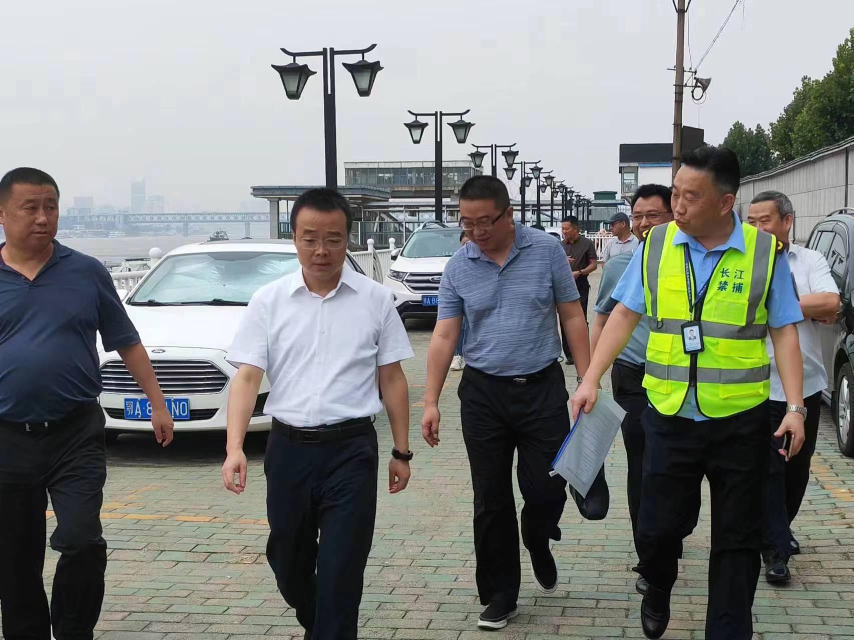 长江二手船舶交易与出租市场，繁荣的航运经济脉络