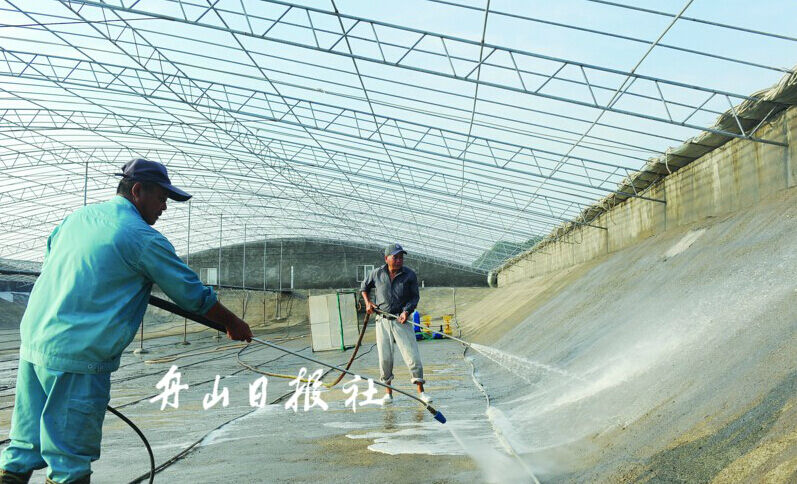 日照大棚车虾养殖，探索现代水产养殖新模式