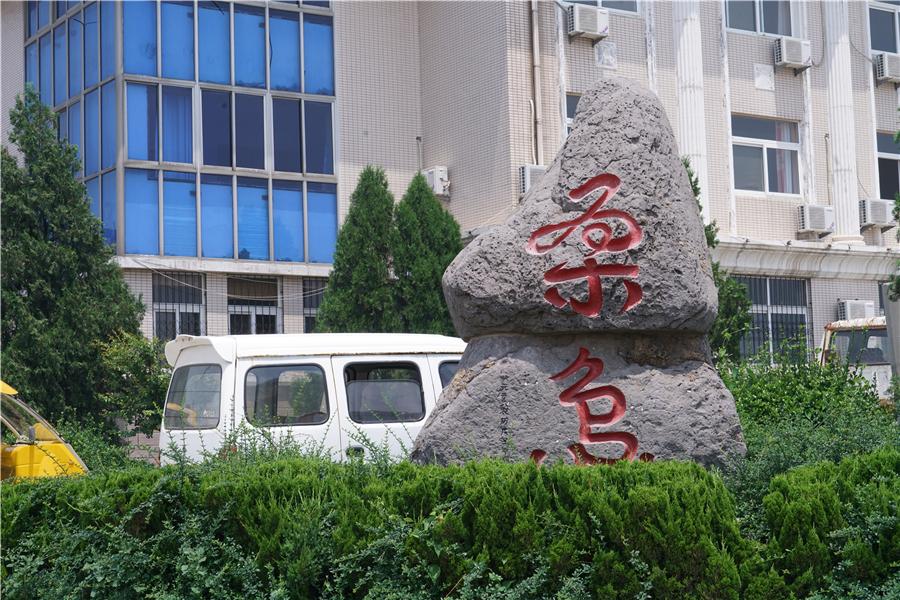 龙口海参大棚出租转让，商机与策略探讨