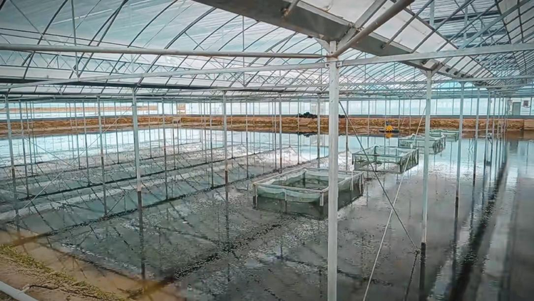 江苏水产大棚养什么好，探索最佳养殖对象