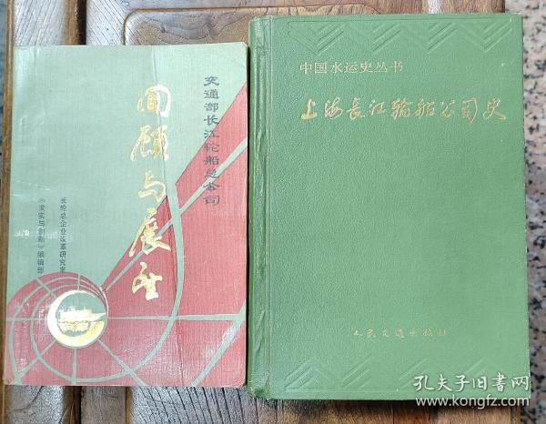 中国长江轮船总公司的历史、现状与未来展望