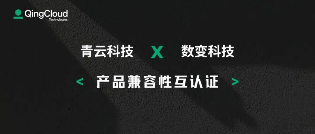 中国青云创投，引领数字化转型的力量之源