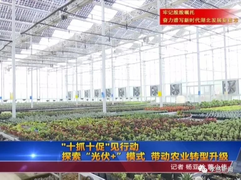 山东养鱼大棚厂家电话，一站式服务与优质体验的探索之旅