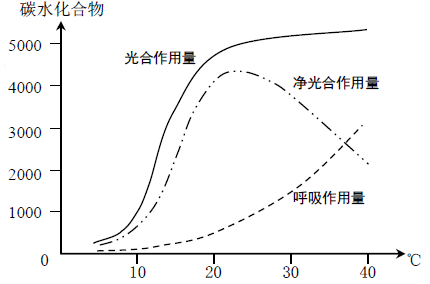 气压与水温，自然环境的双重影响