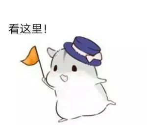 动漫中的收养与表情包，一种全新的文化现象