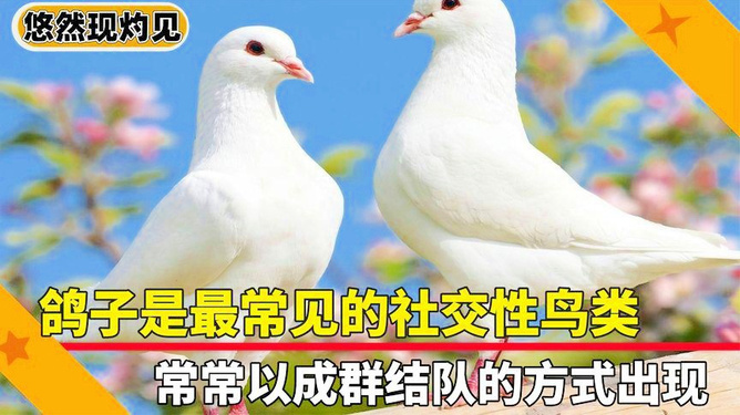 风清水绿 第105页