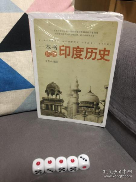 读懂印度的第一本书，探寻文化魅力的深度之旅