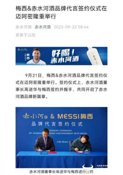 史丹利自动门与报关单的交织故事，深度解析与实际应用案例