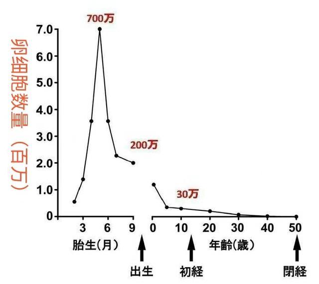 关于取卵受精率的探讨
