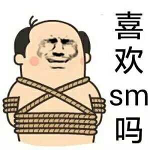SM绑绳表情包，探索网络表情文化的新疆界