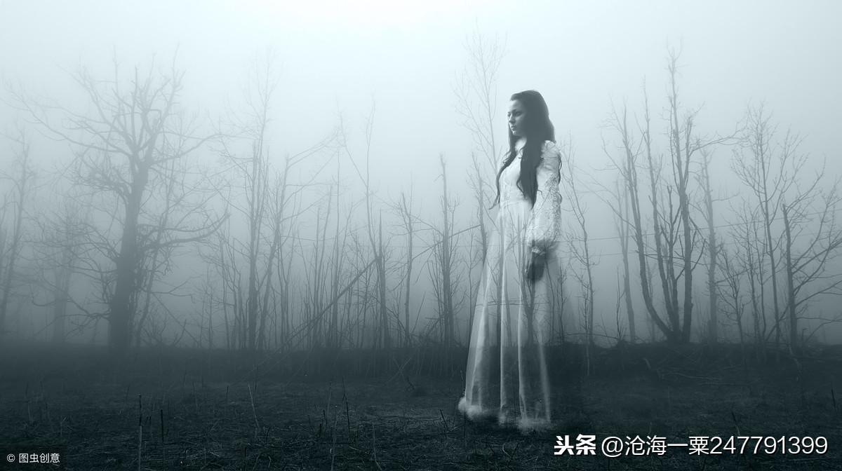 别笑一本正经的文言文解析与感悟