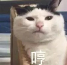 北方穹表情包，一种文化与情感的独特表达