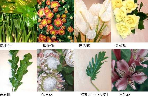 风清水绿 第39页