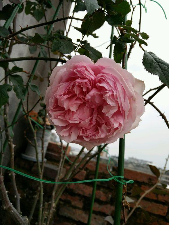和谐发展 第3页