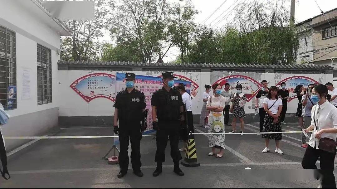 喵驾图标，设计背后的故事与意义