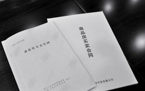 2025年6月15日 第11页